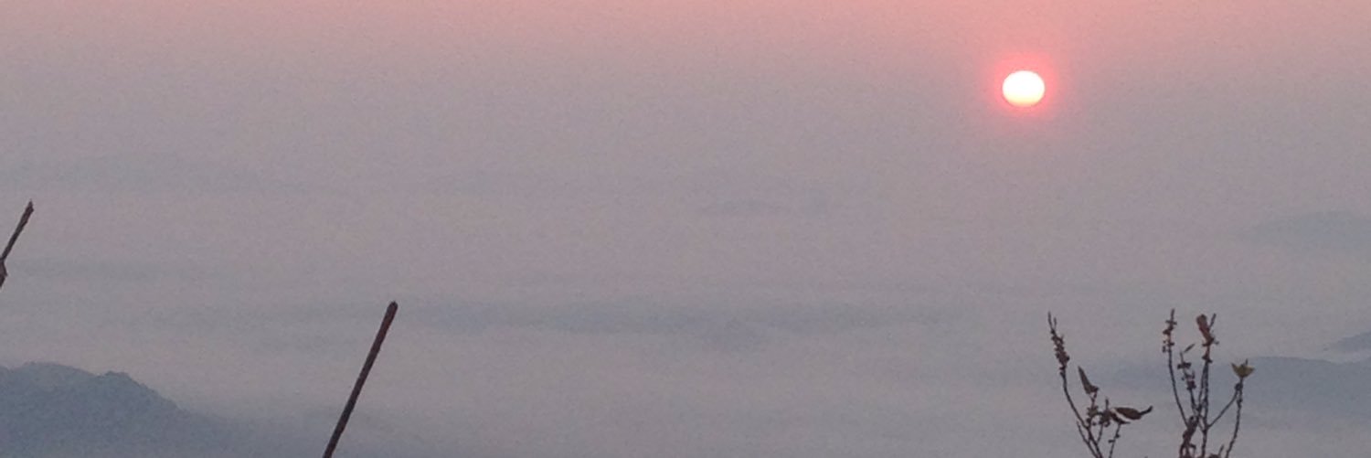 ricefield1's profile banner image
