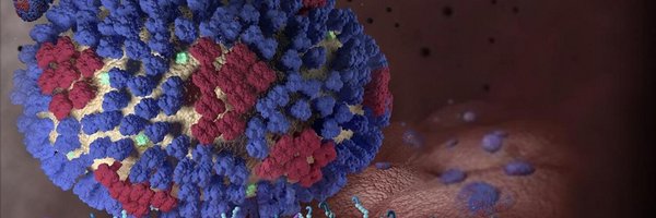 CDCFlu Profile Banner