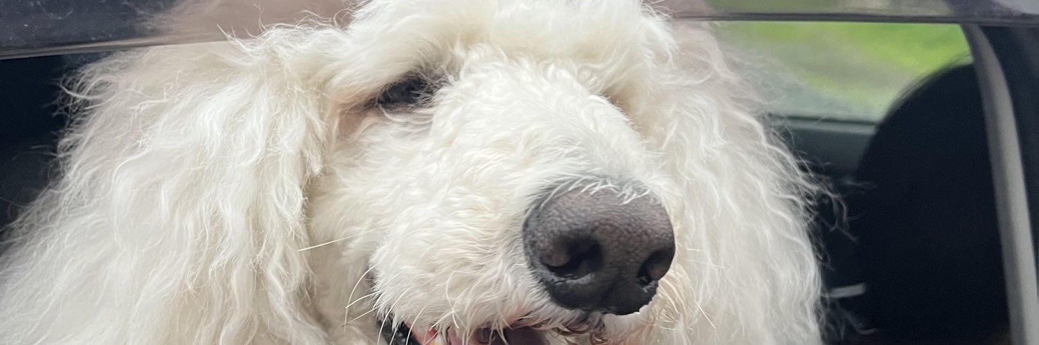 ベルとブチコ banner