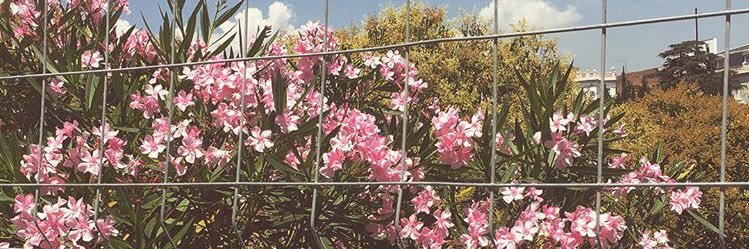 Jennn_15's profile banner image