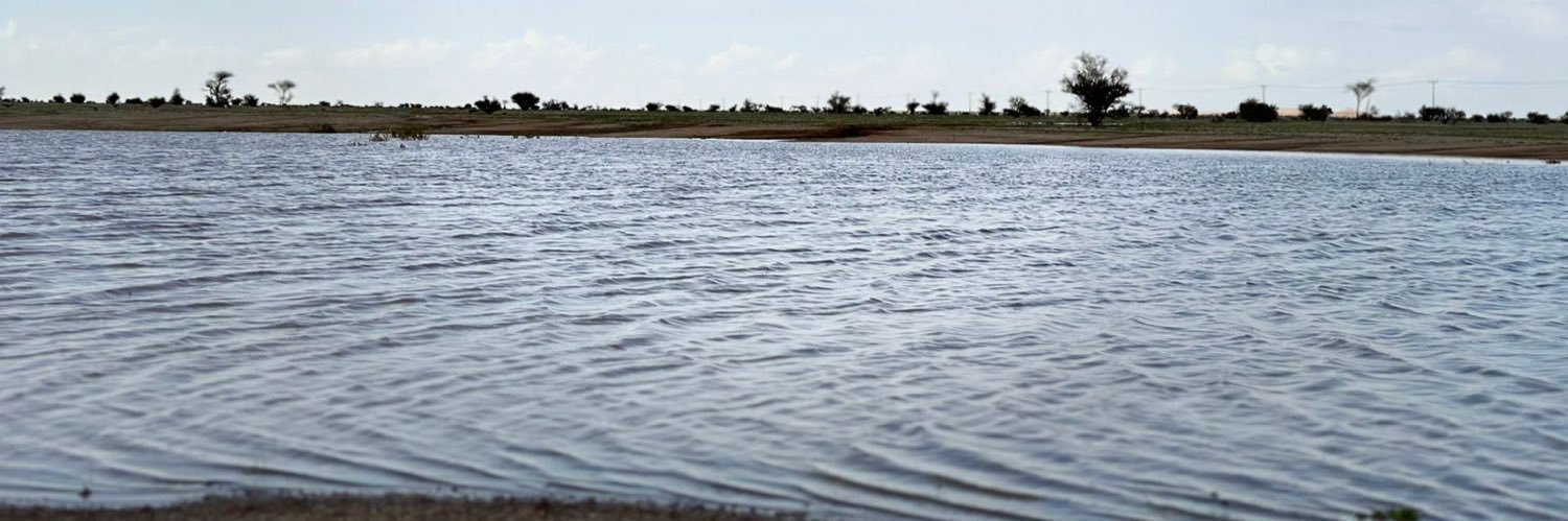 mekdam_a's profile banner image