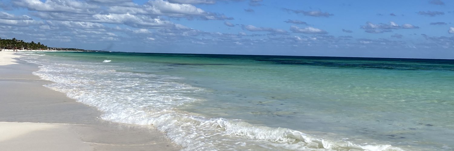 soysarasurf's profile banner image