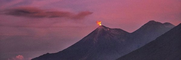 BellWolfy Profile Banner