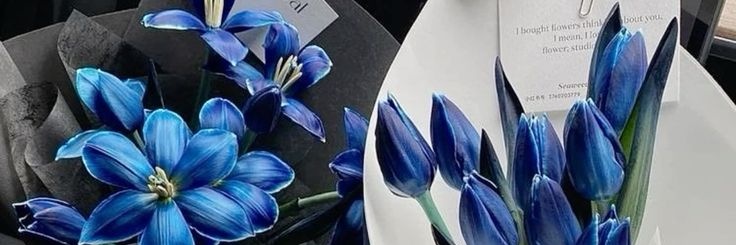 นานา 🫧🌺 banner