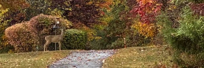 3z12349's profile banner image