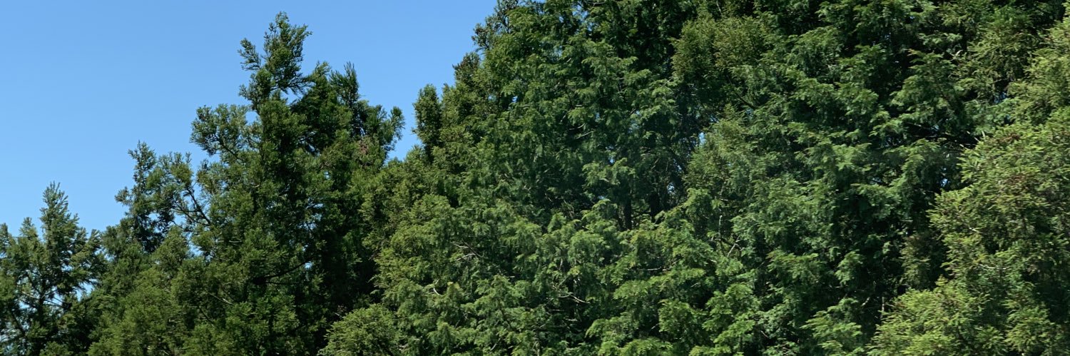 nabewo's profile banner image