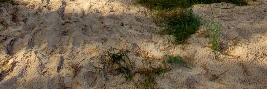 Ksscat75's profile banner image