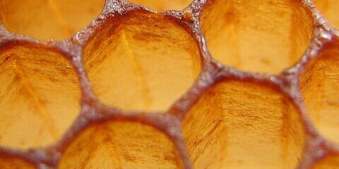 thebeeshed's profile banner image