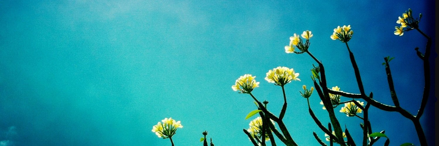 nere_apser's profile banner image