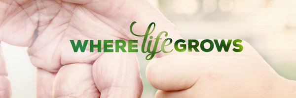 Woodforest_Dev Profile Banner