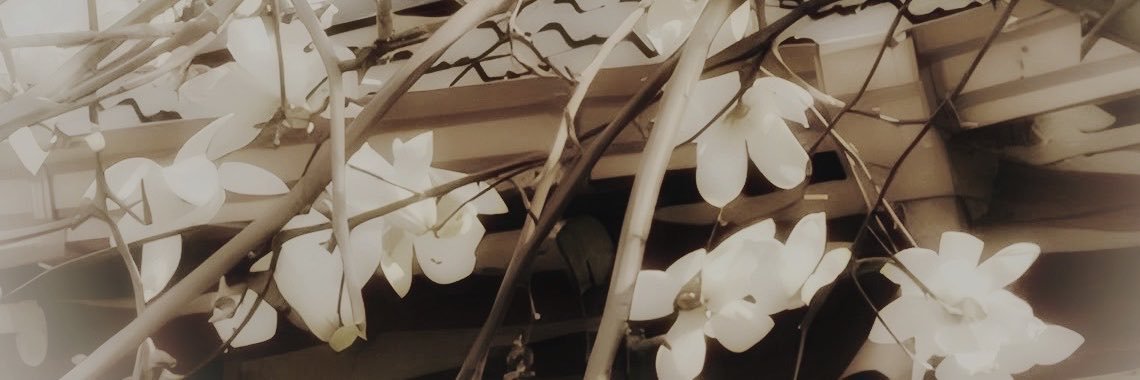 nishiaure's profile banner image