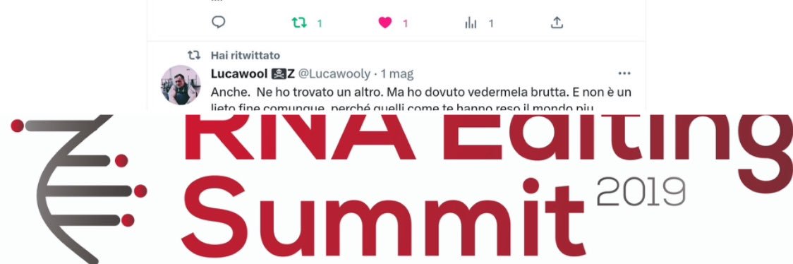 marconeri44's banner