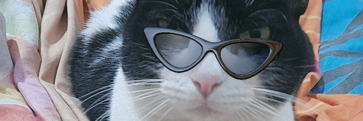florauta's profile banner image