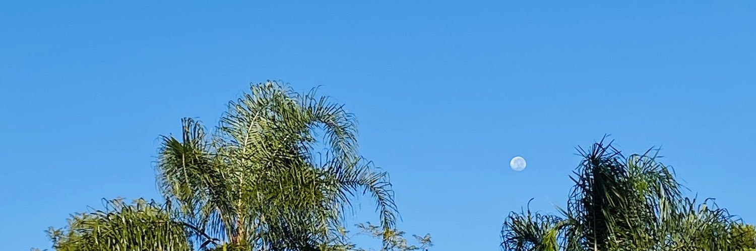 melloalexandr's profile banner image