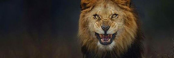 flynigerianboy's profile banner image