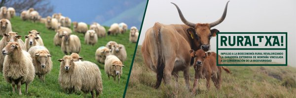 ruraltxa1 Profile Banner