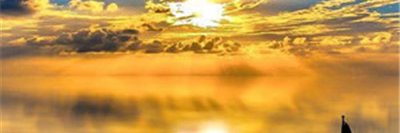 STVE1115769's profile banner image