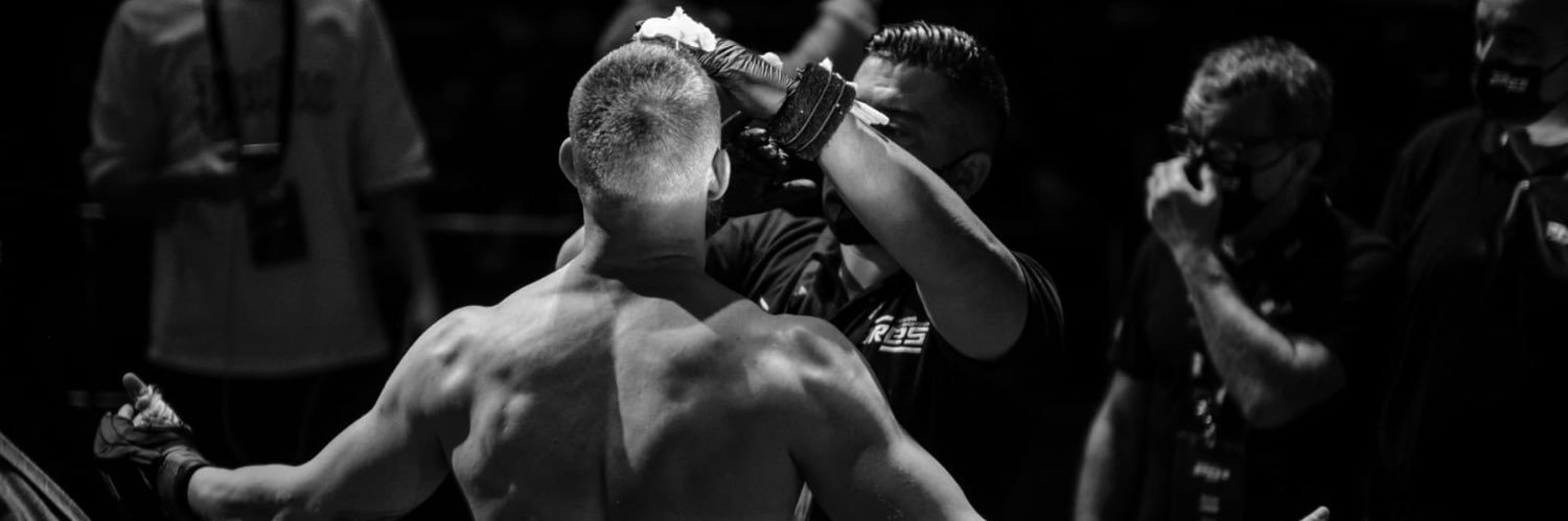 Emil Valhalla Meek banner