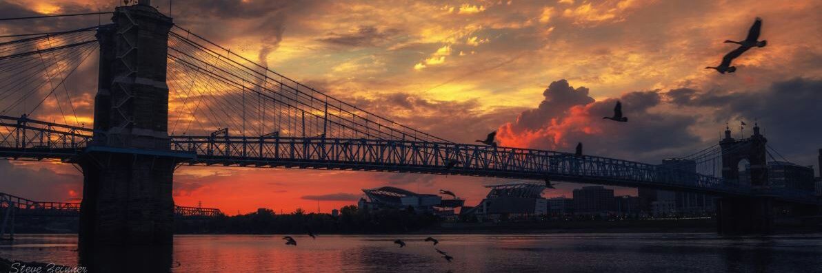FromRoselawn's profile banner image