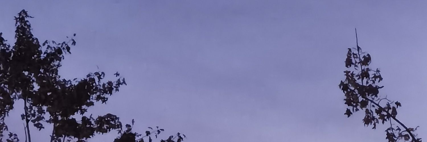 Mirrorghos64924's profile banner image