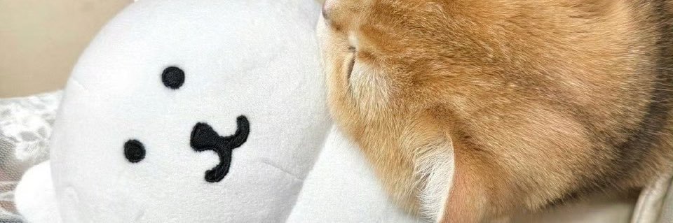 xiaotianch02's profile banner image