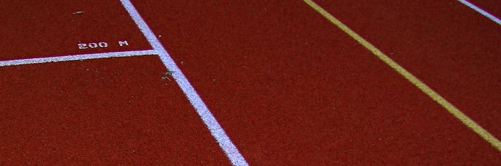 Dalilah McLaughlin banner