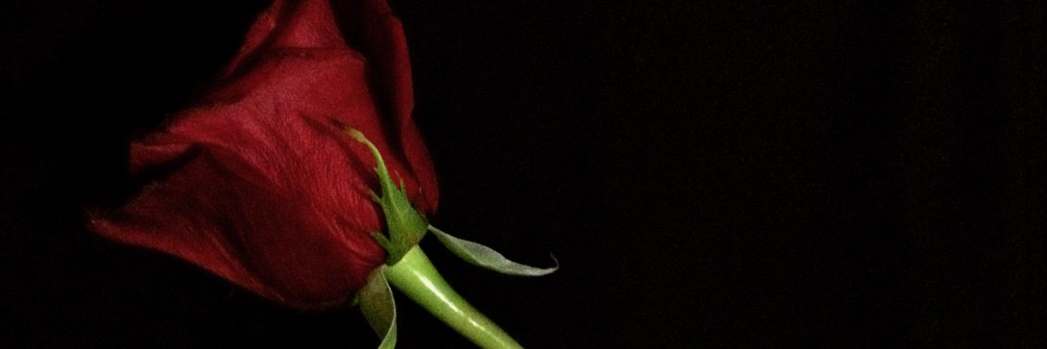 CarolRoca_16's profile banner image