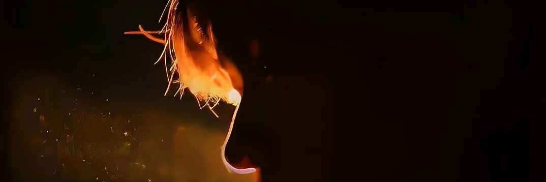 J1784436's profile banner image
