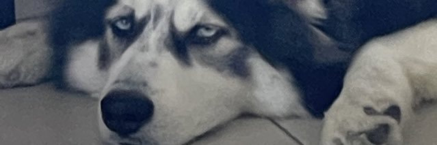 Alejandrag93's profile banner image