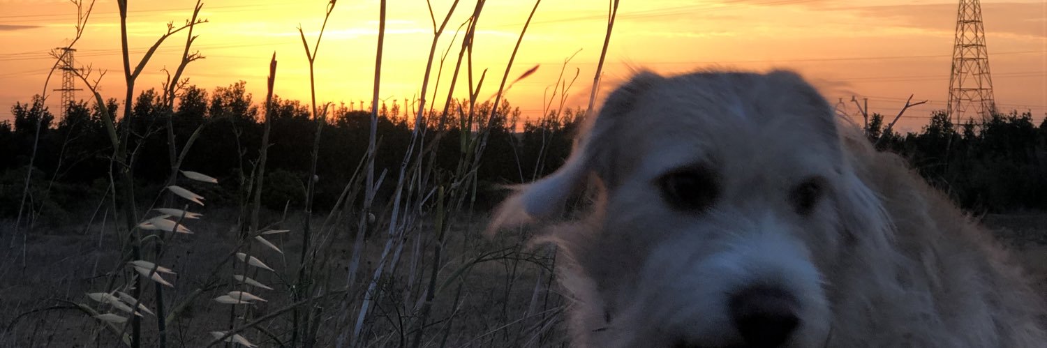 B_RabbittJr's profile banner image