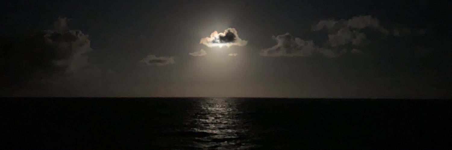 peterparles's profile banner image