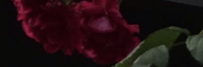 gu!n banner