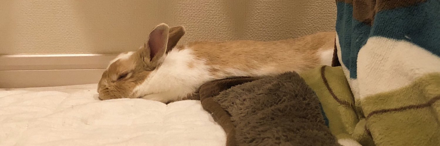 ふまさん🌱 banner