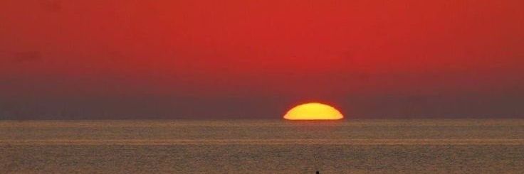 sunscent banner