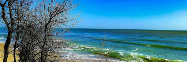 TLDwrites Profile Banner