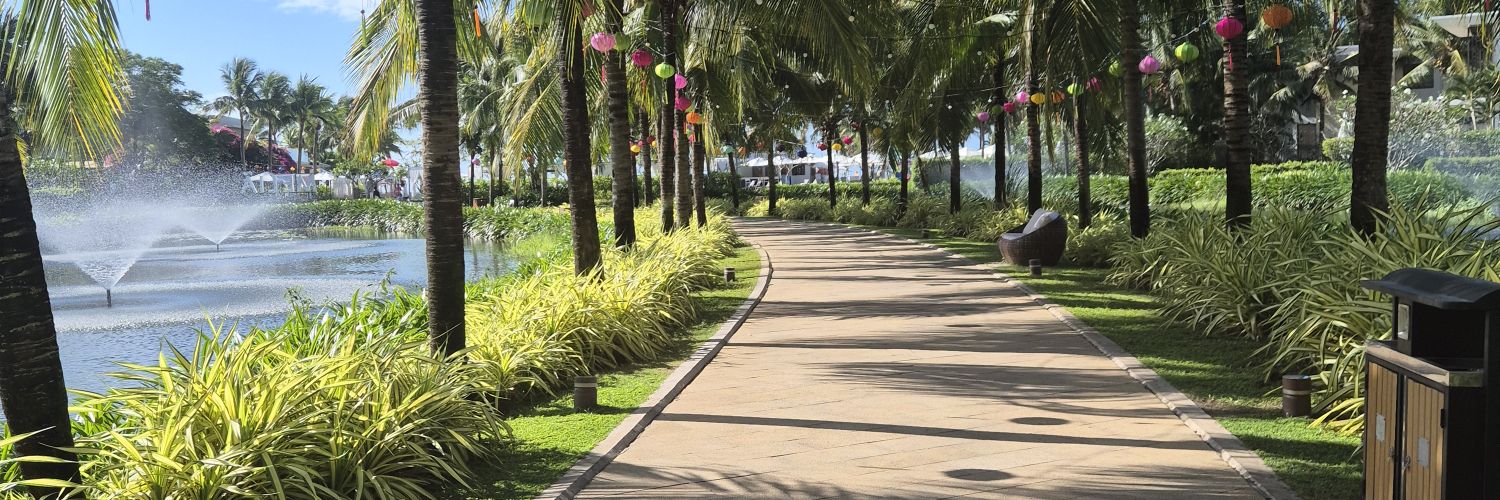 T.L. Donoghue banner