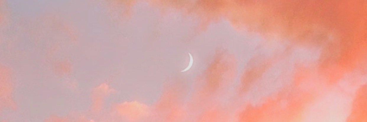 elshvllnva's profile banner image
