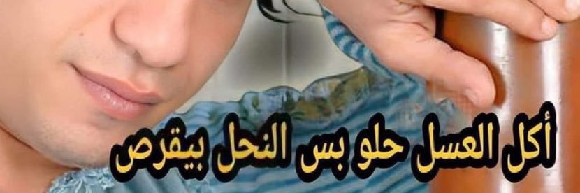 dailydoseofbeee's profile banner image