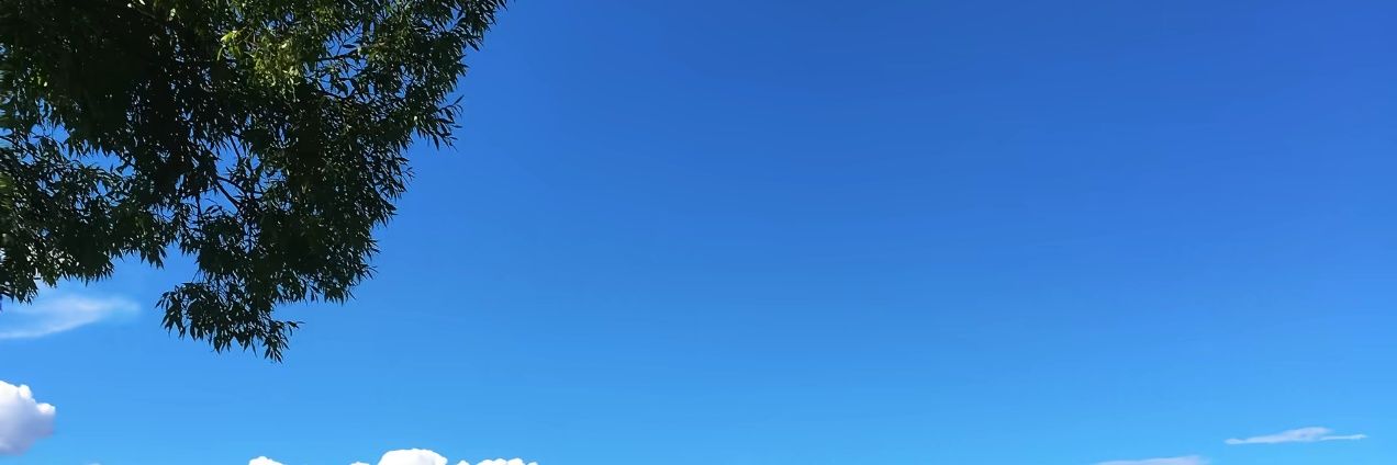 LnDevAI's profile banner image