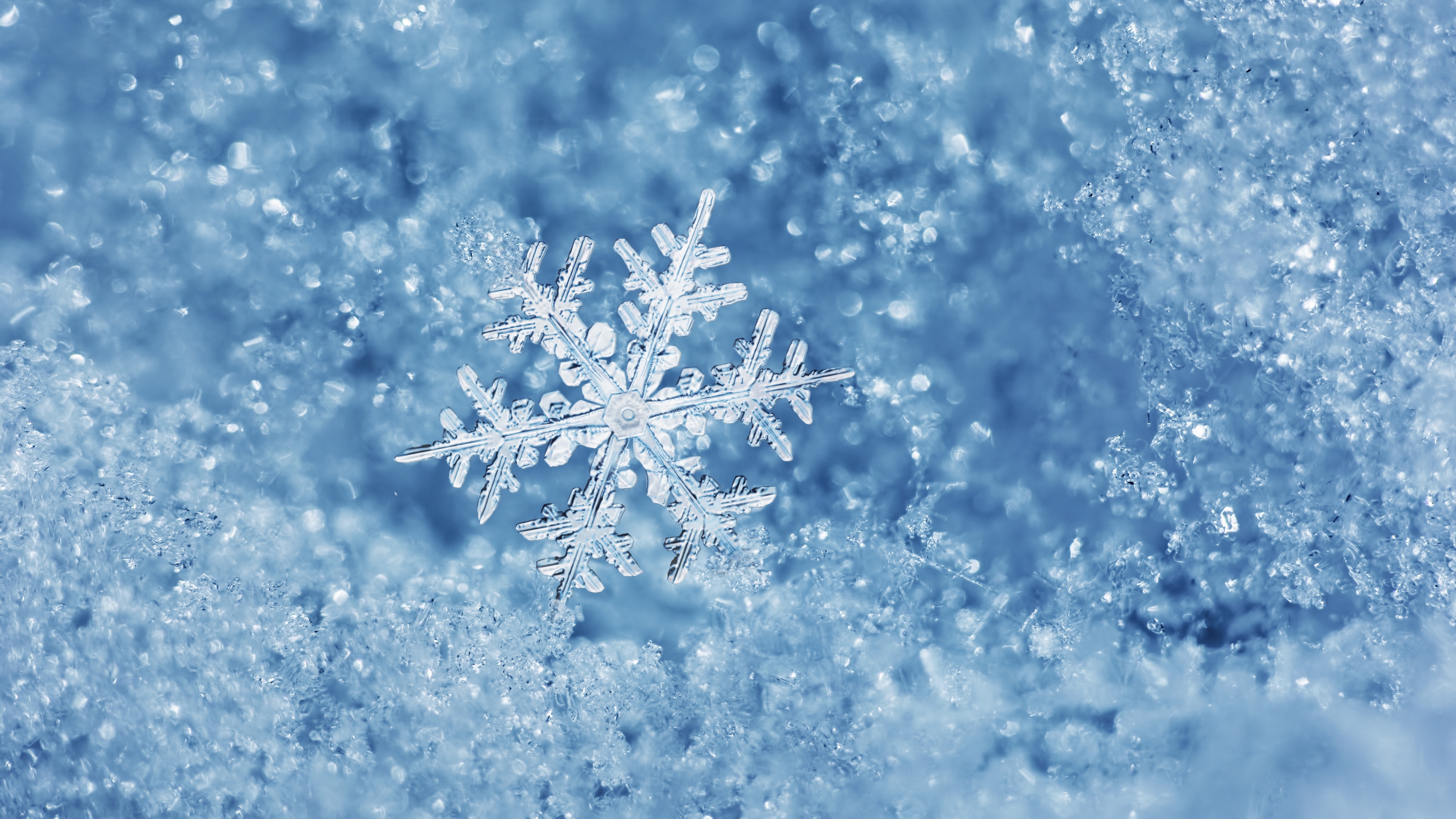goolsby_wi45043's profile banner image