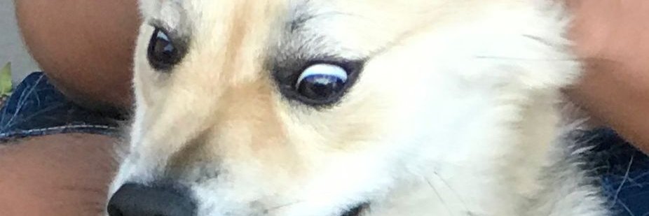 fercritina's profile banner image