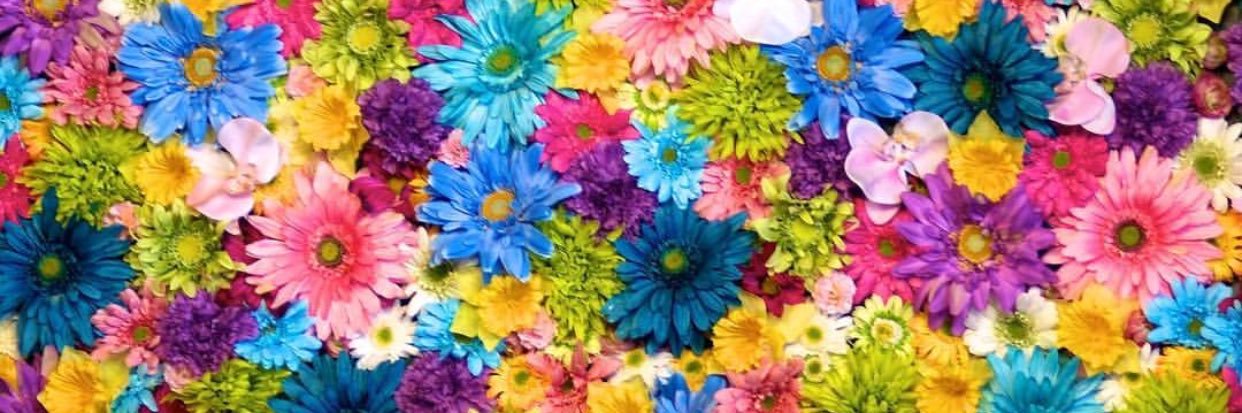 JusDebra_'s profile banner image