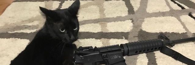 ImTheChaoticCat's profile banner image