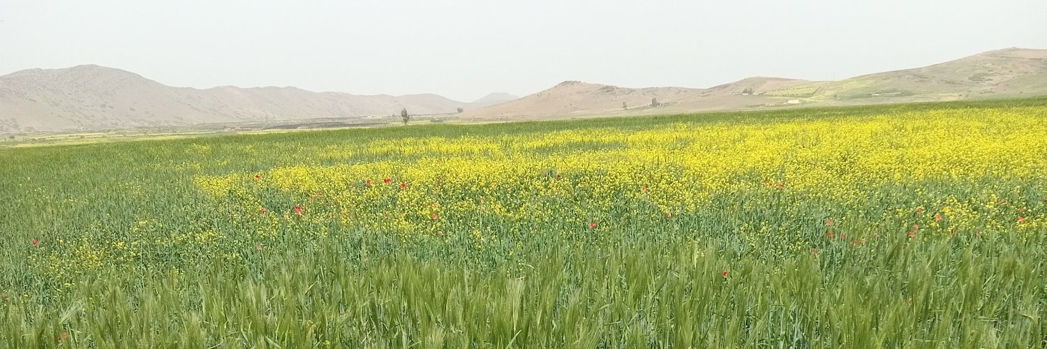 Ayour 🌕 🇲🇦 banner