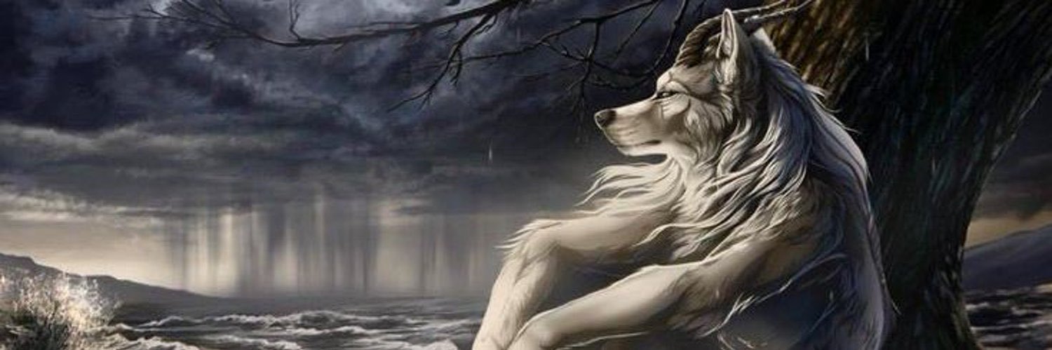 abeer🐺's banner