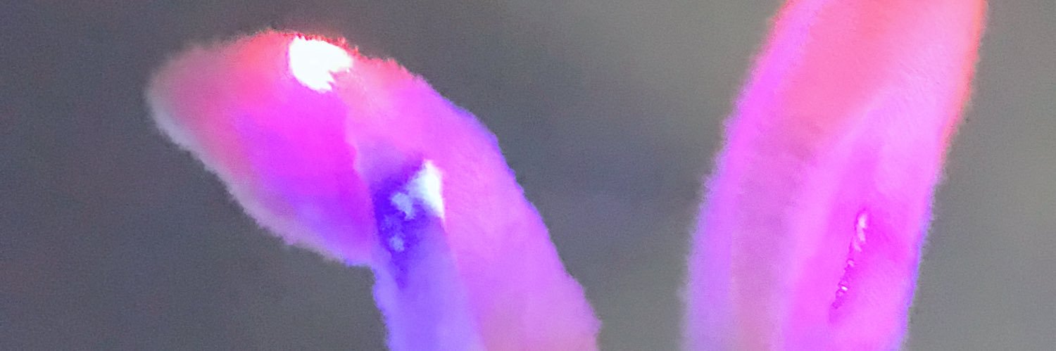 月亮 banner