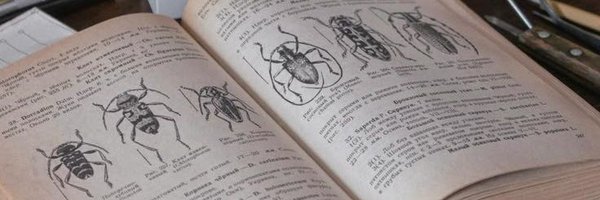 UndeadChoir Profile Banner