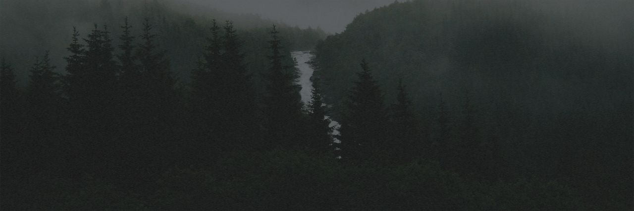 ᅠ ᅠ ᅠ ᅠ ᅠ─ ‧ 𝓜.𝓦. banner