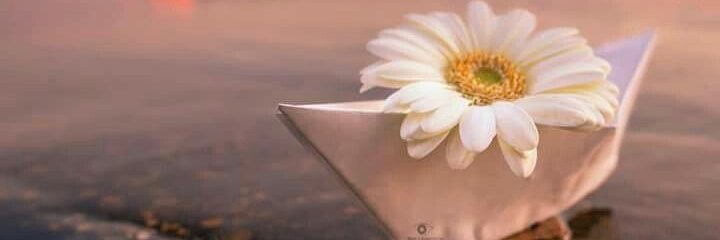 Ayşenur 🇹🇷 banner