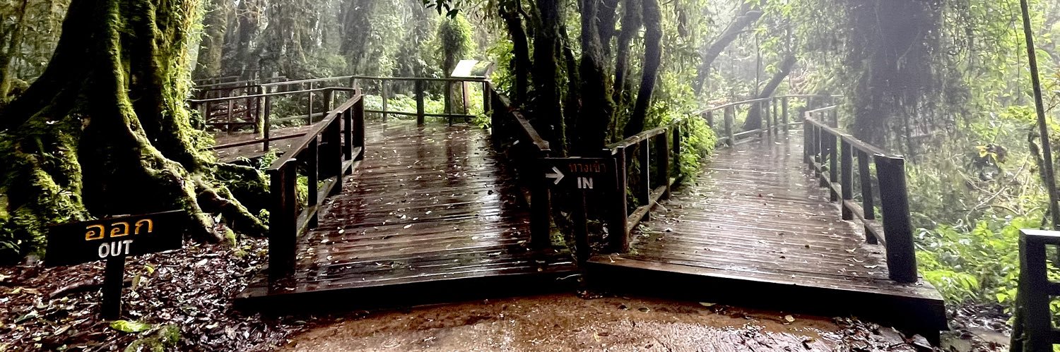 Ana Brunčič banner